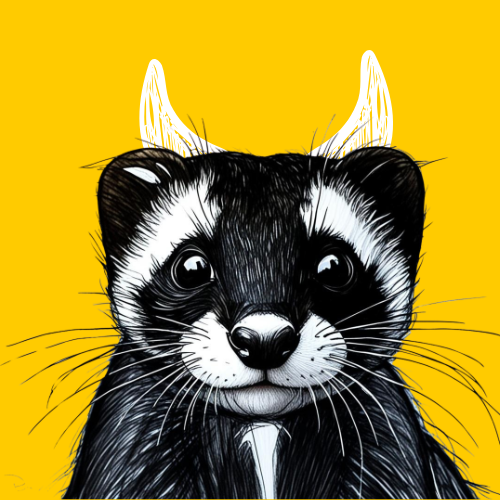 ferret